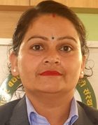 kanchan